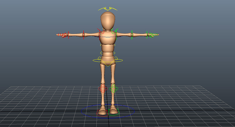 3D animation rigs